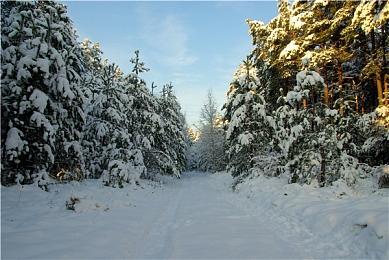 NEOWIZ《小骨：英雄杀手》，主机版本全球正式上市